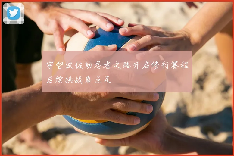 宇智波佐助忍者之路开启修行赛程后续挑战看点足